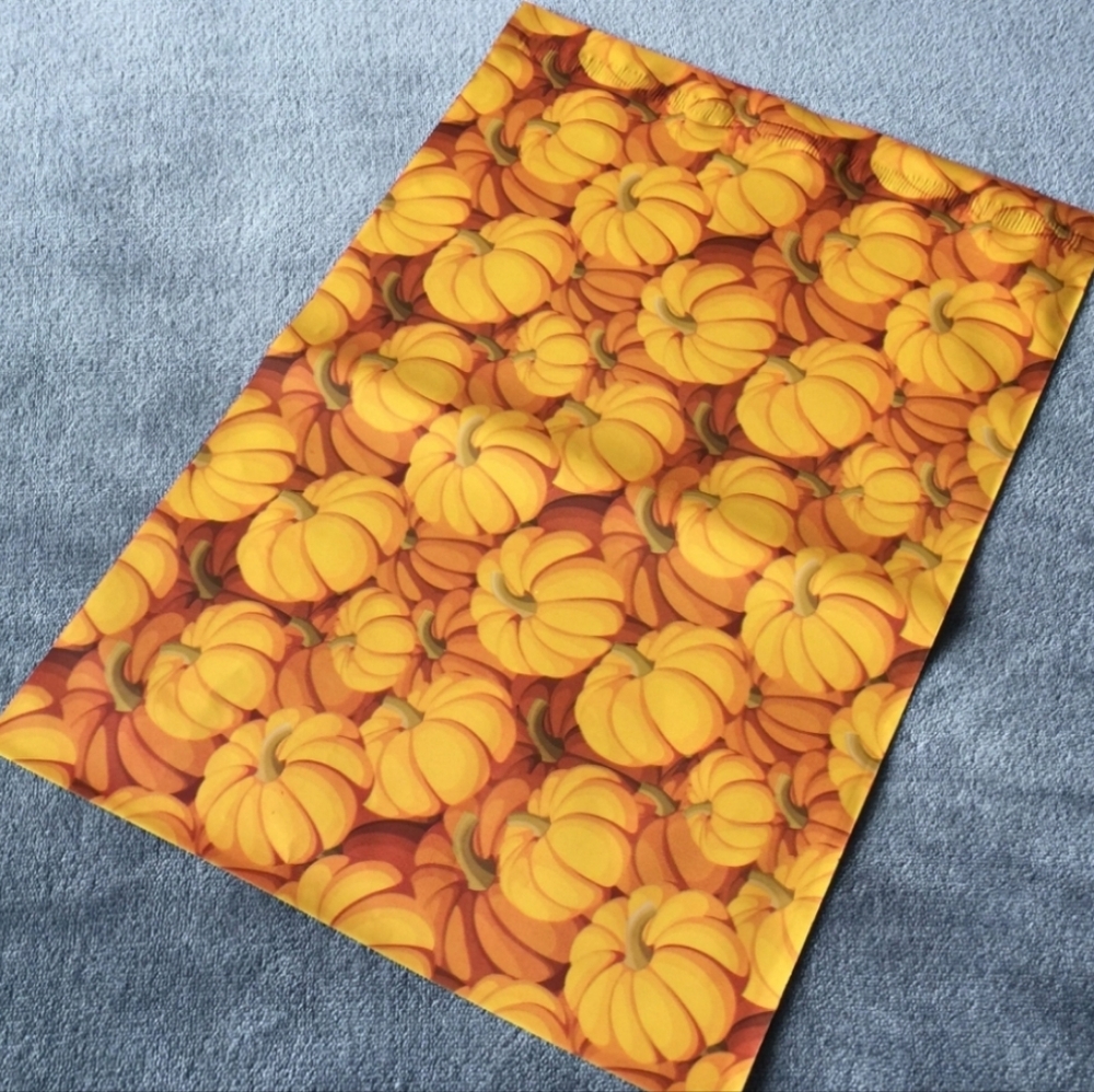 Pumpkin 10x13 Poly mailers  20pk